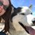 Lacy Gonzalez's profile image