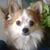 Janet Maksin Lynch's profile image