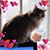 Kelley Jaye Baker Bewley's profile image