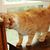 Pam Parmer's profile image
