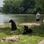 Suzee Faircloth Bisch's profile image