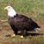 Keith A. Clendenin's profile image