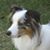 Audrey Bates Cole's profile image