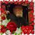 Debi Walters Ennis's profile image