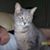 Manny Bettencourt's profile image