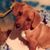 Timothy C Calhoun's profile image