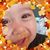 Molly Scott-Pantoja's profile image