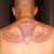Matt Hatten's profile image