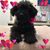 Lucy Betterton's profile image