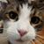 Heather Balderston Fremont's profile image