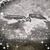 Renato Tranca's profile image