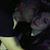Kayla Motley's profile image