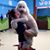 Cindy Berg Watson's profile image