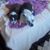 Kim Roeill's profile image