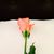 Lilibeth Placencio's profile image