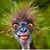 Michael Lovell's profile image
