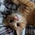 Christien Sweeney's profile image