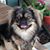 Debbie Hill Mason's profile image