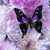 Christine Ewell's profile image