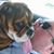Chrystal Marihugh's profile image