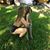 Jessica Deaton's profile image