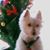 Brenda Ackerman's profile image