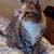 Teresa Turney's profile image