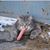 Mike Evans's profile image
