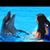 Holly Saechin's profile image
