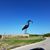 Mary Alice Tilley's profile image