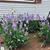 Patti Brown Silverman's profile image
