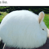 Urist M.'s profile image