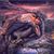 Wendy Schaeffer Swiatnicki's profile image