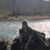 Danelle Marie Sullivan's profile image
