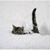 Vivian Blair's profile image