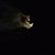 Jeremy Dohse's profile image
