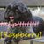 Luis San Belle's profile image
