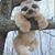 Terry Howe's profile image