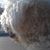 April Ashworth Dingess's profile image