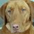Mary Countryman's profile image