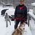 Marcie Calkin's profile image