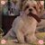 Brenda Dozack's profile image