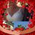 Alessandro Moschin's profile image