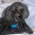 Steve Kreutzer's profile image