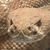Tom Derr's profile image
