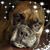 Jean Laporte's profile image