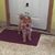 Sandy Ostrander's profile image