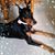 Kathleen Daniel's profile image