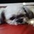 Lucy Padilla's profile image
