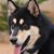 Jd Schnell's profile image
